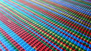 Human genome, dna sequencing
