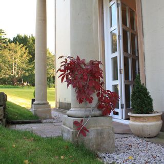 house entrance with columns and potted plant