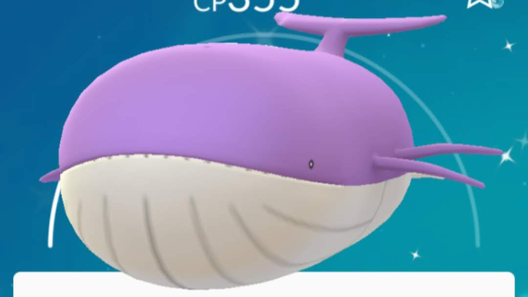 Pokemon Go shiny list - Wailord