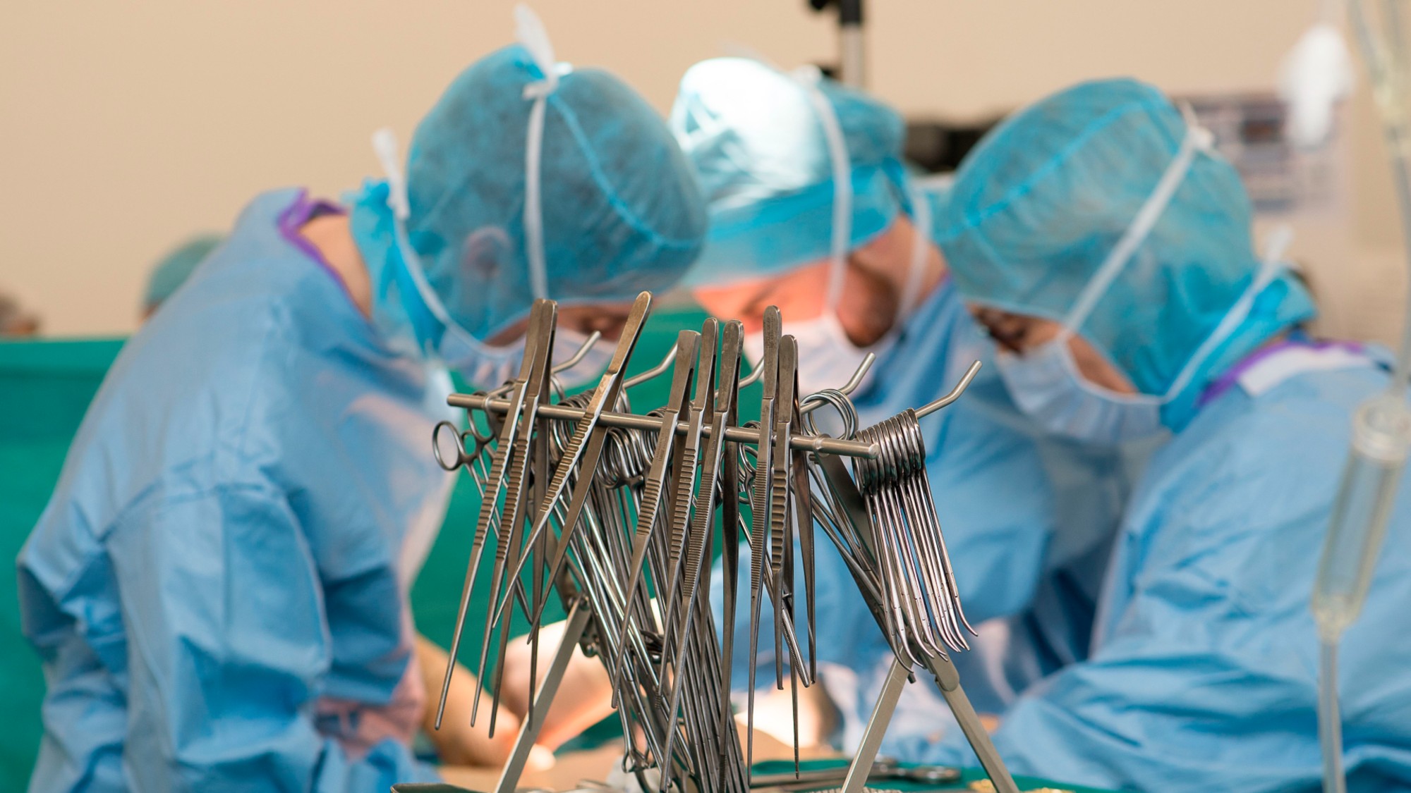 Surgeons perform an organ transplant during a procedure in Nice, France. 