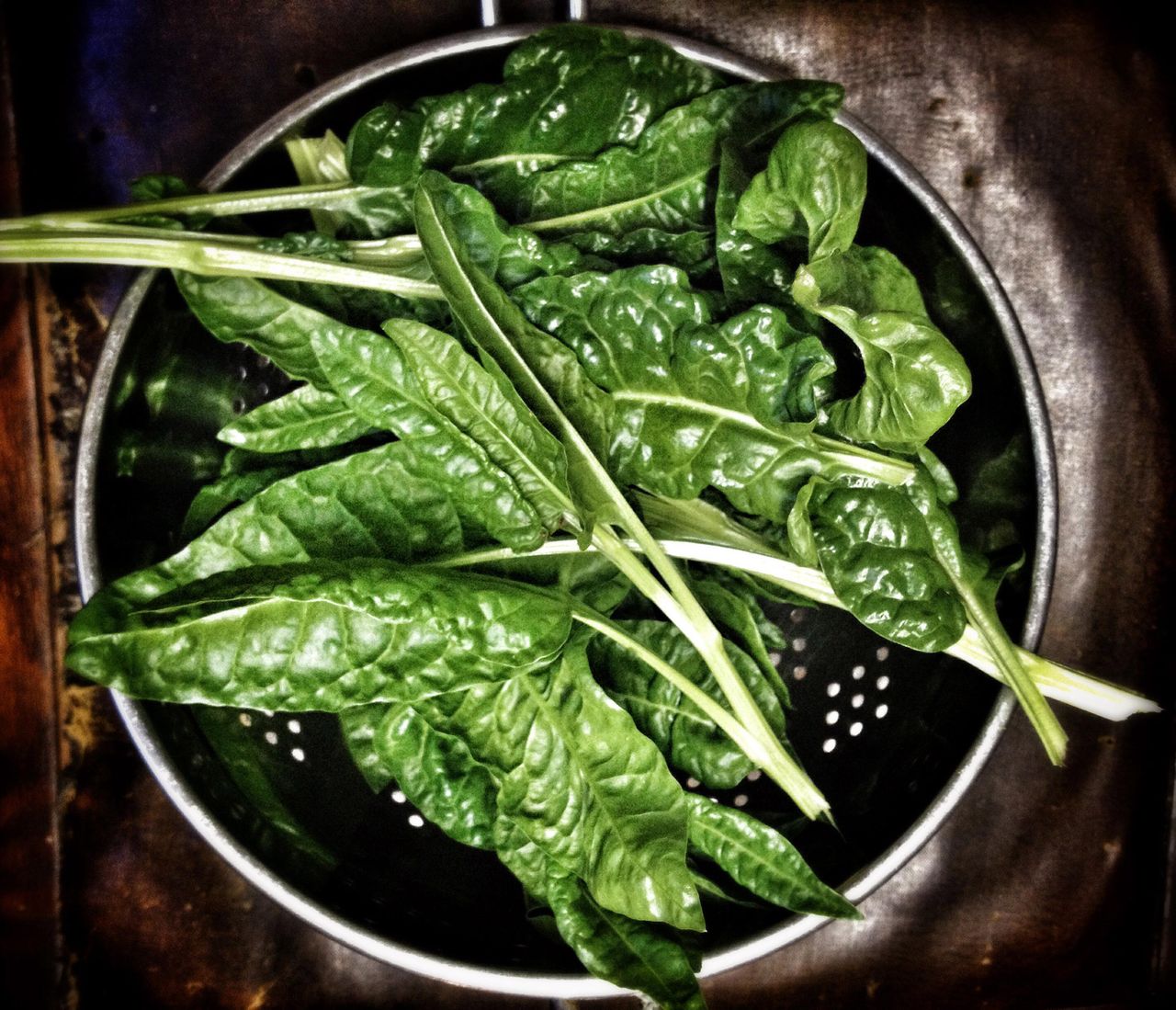 How to grow spinach your goto growing guide Gardeningetc