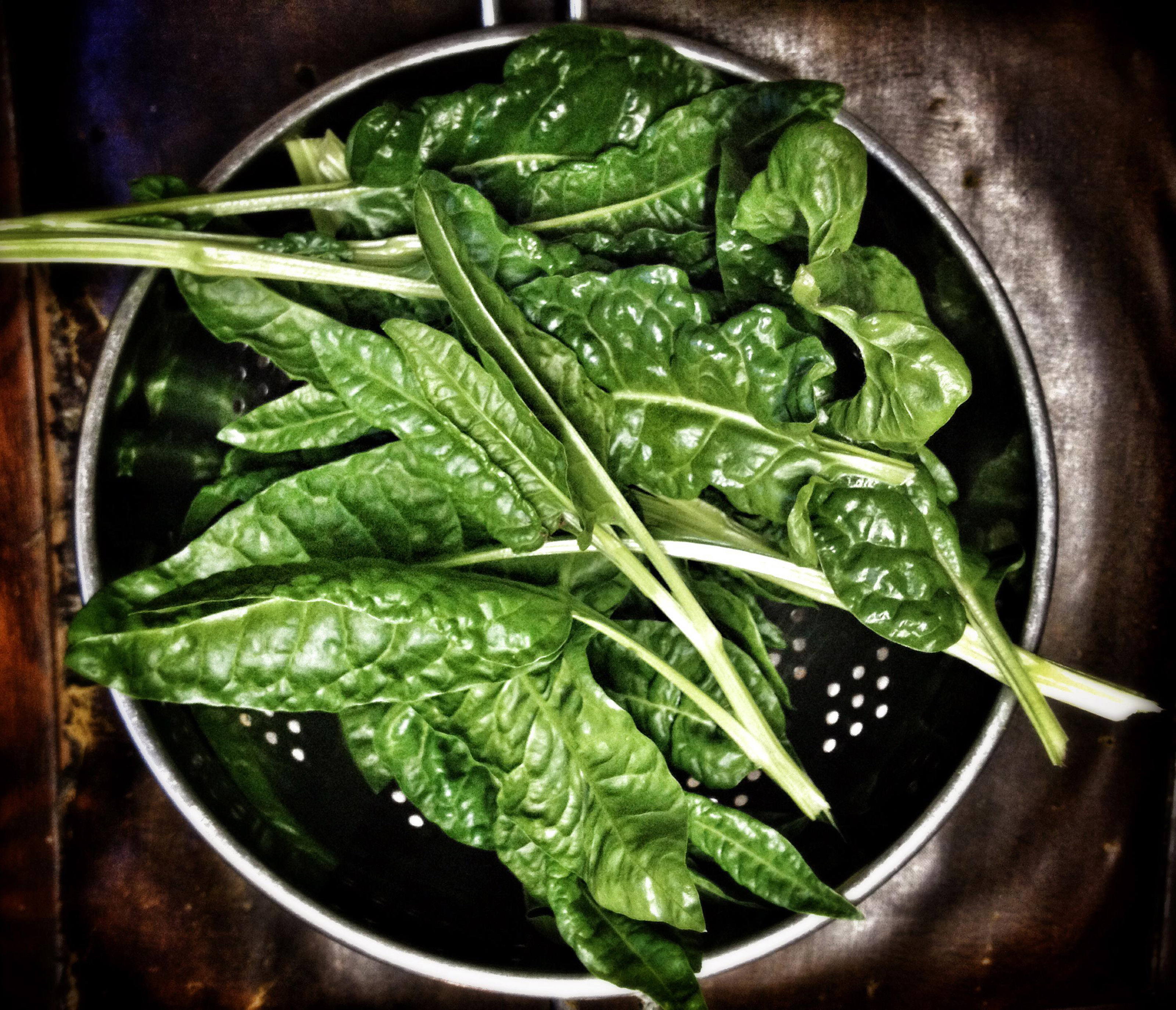 How to grow spinach your goto growing guide Gardeningetc