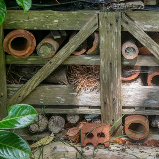 close up of a homemade bug hotel