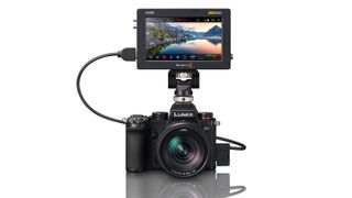 Panasonic Lumix S5 with Blackmagic Video Assist 12G HDR