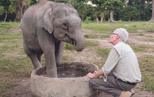 Paul O&#039;Grady bids farewell to India’s animals as his journey comes to an end