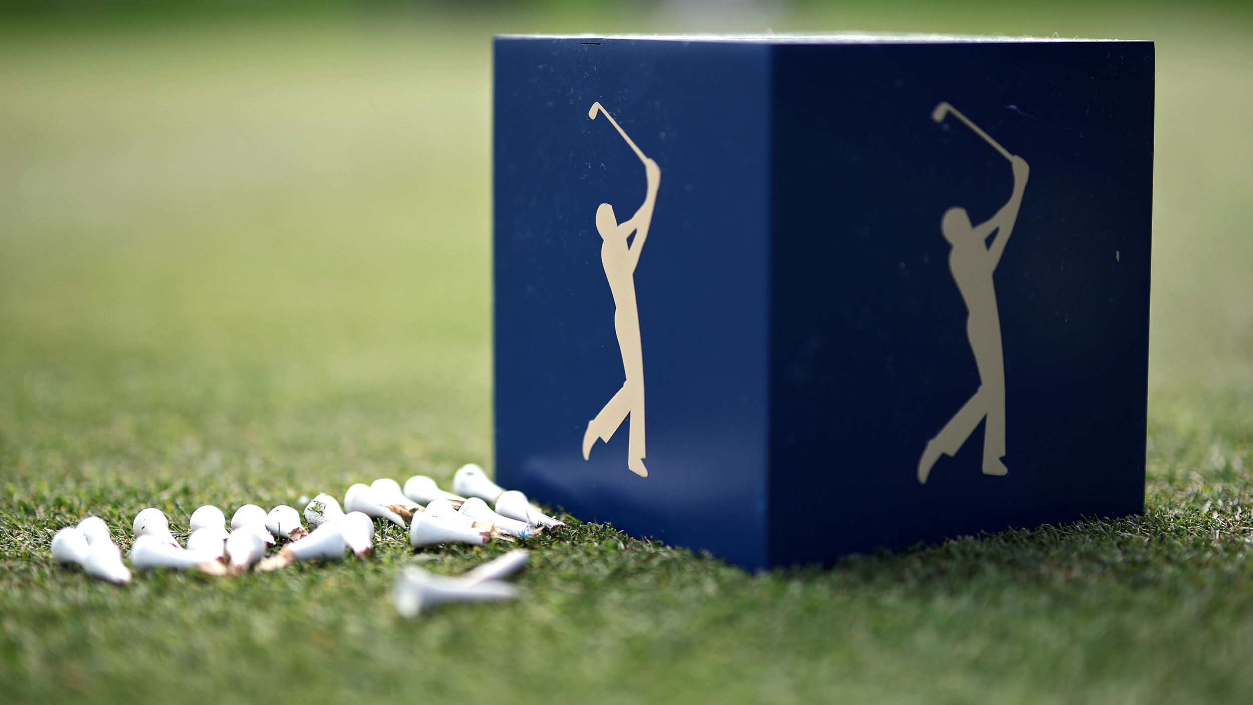 Logo for The Players Championship.