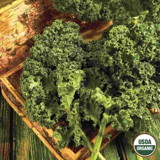 Kale, Dwarf Blue Curled Organic Seeds Online Edition