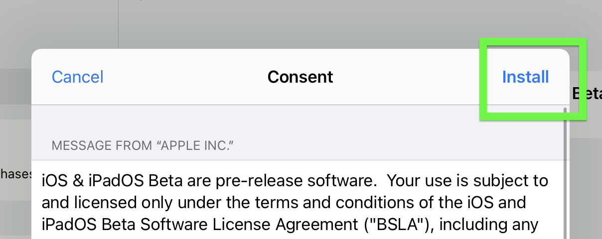iPadOS 15 beta how to download: tap install again
