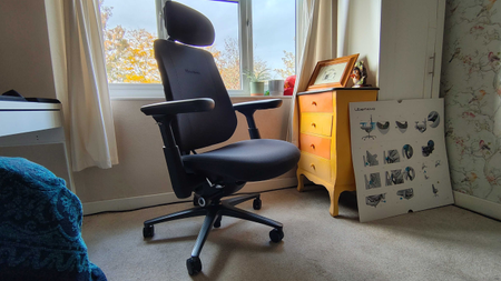 Testing out the LiberNovo Maxis big and tall office chair in my home office
