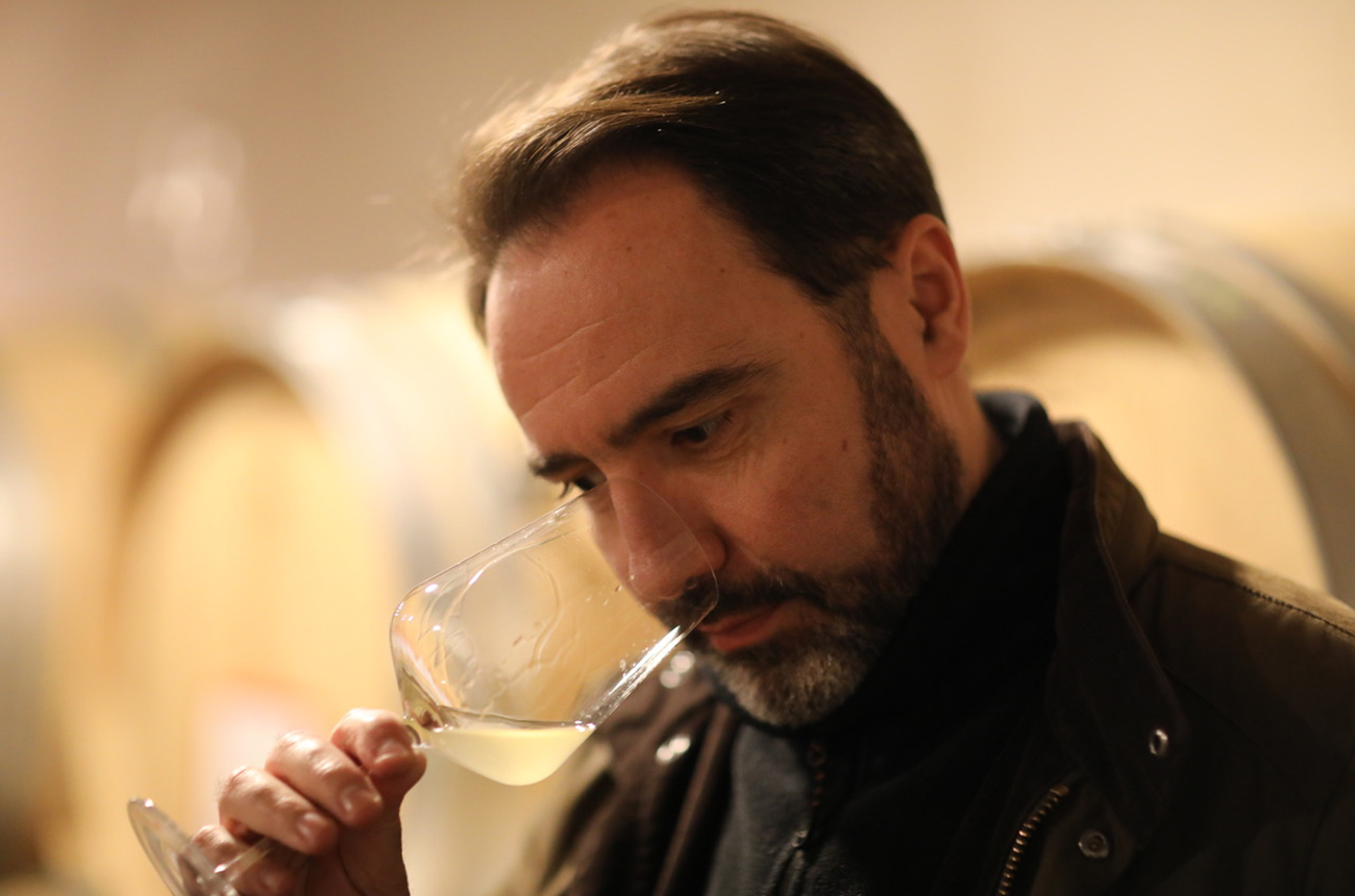 Loire 2021 white wines