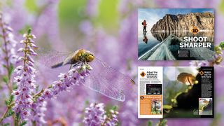 Close-up of a dragonfly on purple flowers with an open photography magazine in the background