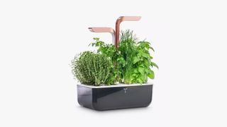 Veritable Indoor Garden Smart Edition 4 Slot Herb & Plant Holder