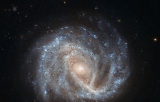 Spiral Galaxy NGC 2441