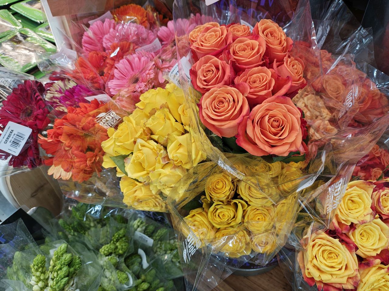 Motorola Razr Plus (2025) camera sample.