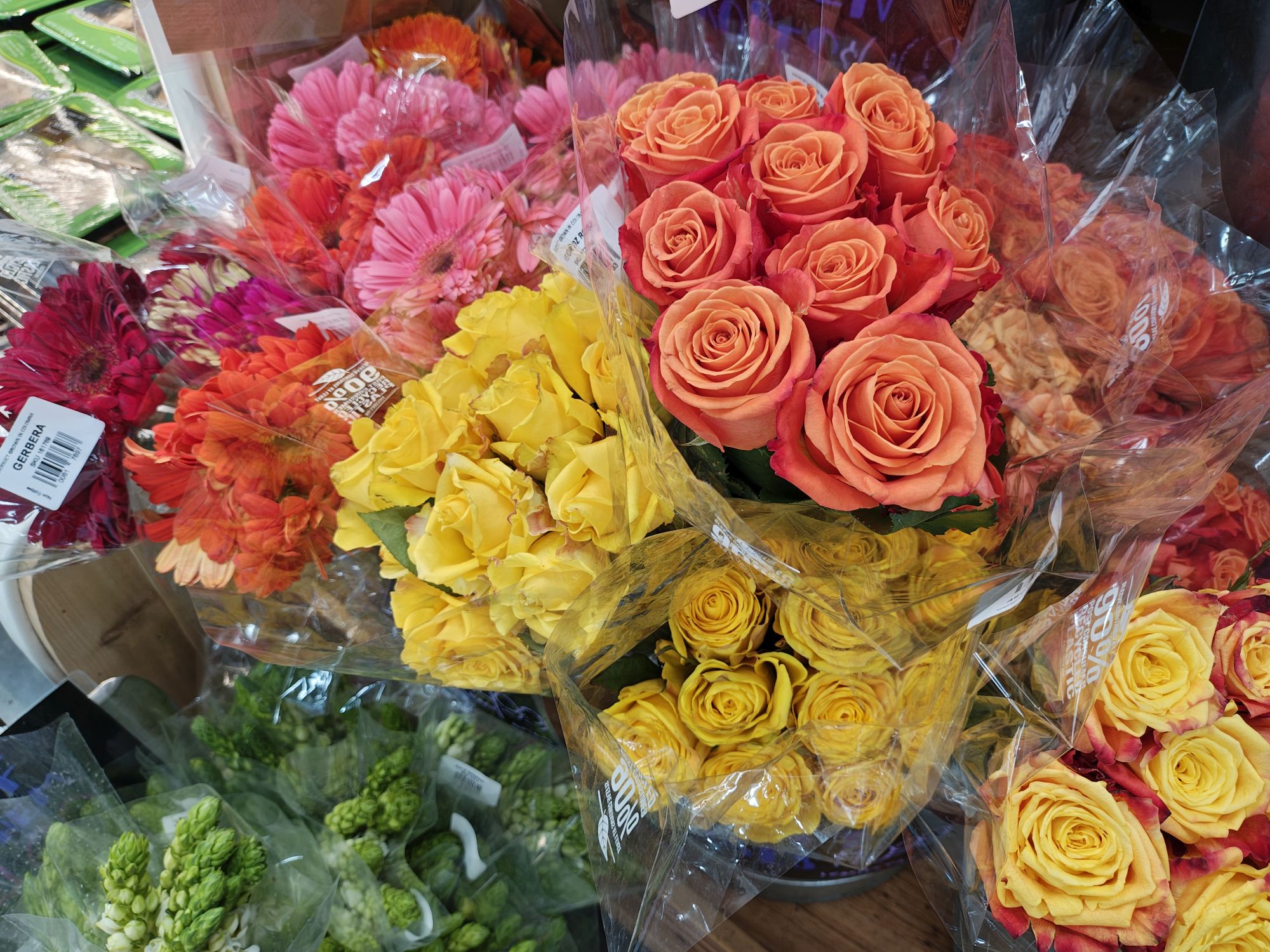 Motorola Razr Plus (2025) camera sample.