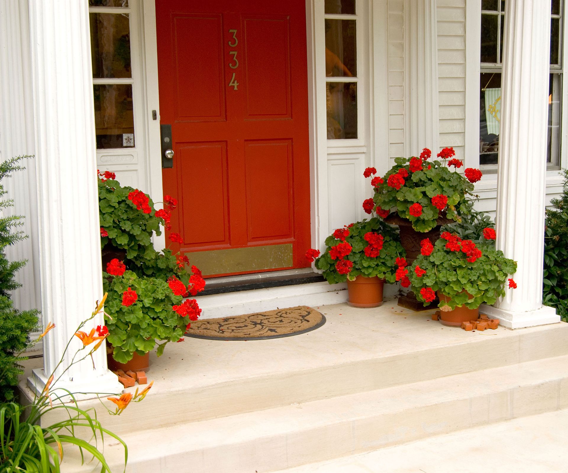 Best front door plants 10 beautiful choices