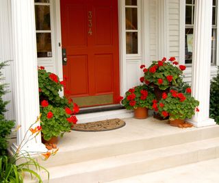 red geraniums and red front door