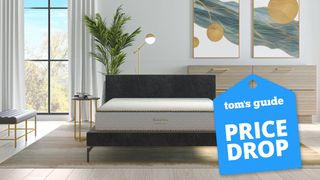 Saatva Modern Foam Mattress placed on a dark brown wooden bed frame in a stylish neutral design bedroom