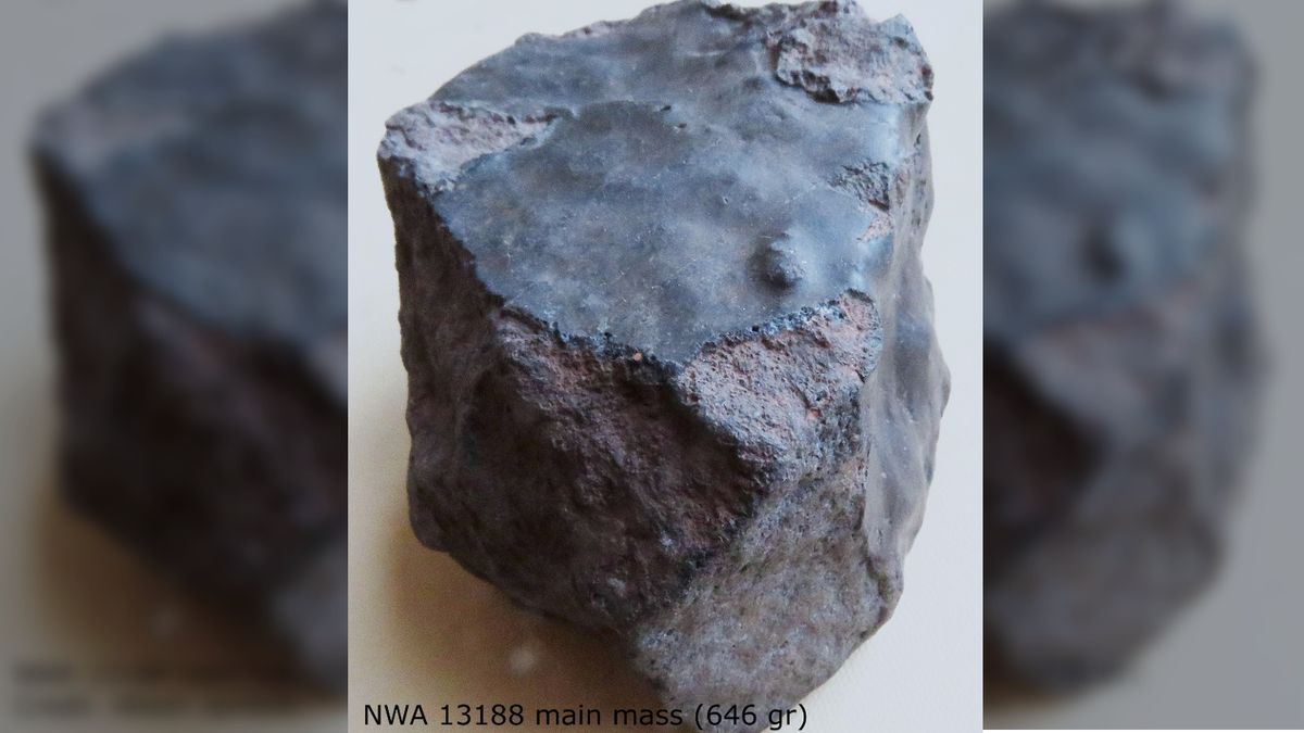 世界初の跳ねる隕石（地球を離れ、数千年を宇宙で過ごし、その後戻ってきた石）がサハラ砂漠で発見された可能性がある