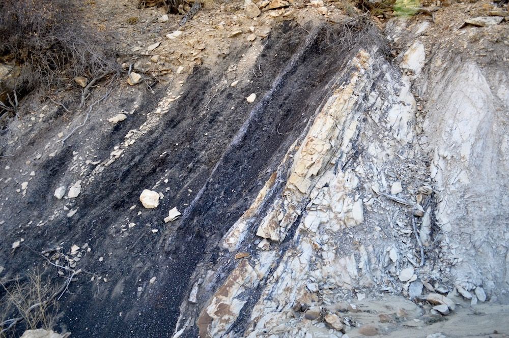 Grand Staircase, Home to Countless Dinosaur Fossils, Could Be Destroyed