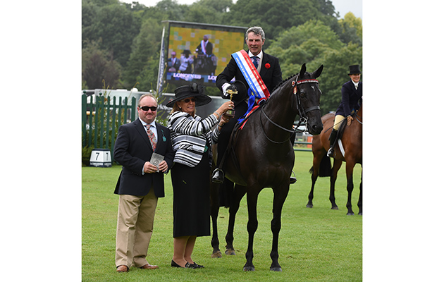 EDWARD YOUNG riding CLASSIC CHAUVANIST, winner of The Brereton Supreme Hack Championship during the Royal International Horse Show at The All England Jumping Course, Hickstead, West Sussex, UK on 30 July 2016