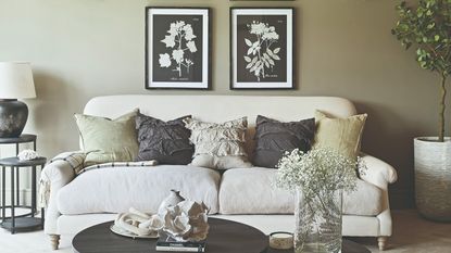 A sage green-painted living room with a neutral-coloured sofa and contrasting cushions