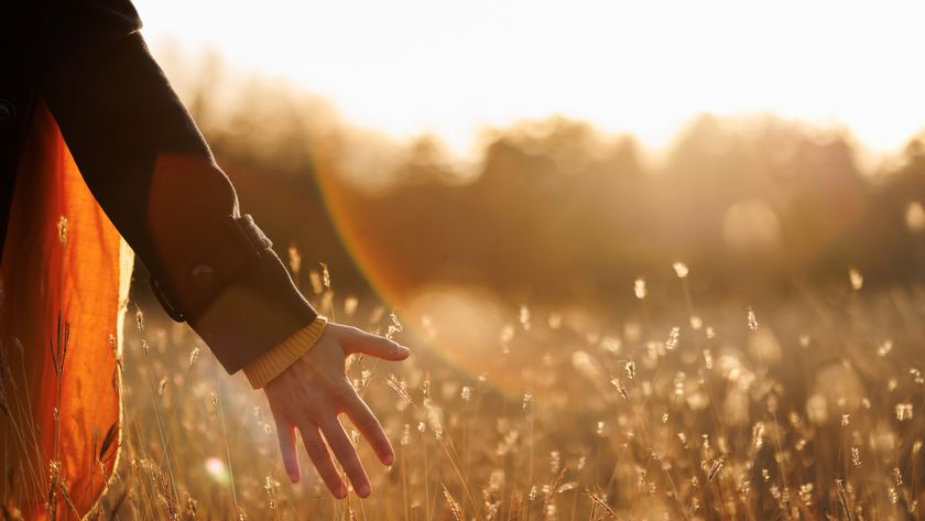 A person holds out their hand in a field of dried grass