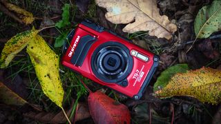 A red OM System Tough TG-7 on fallen leaves outdoors