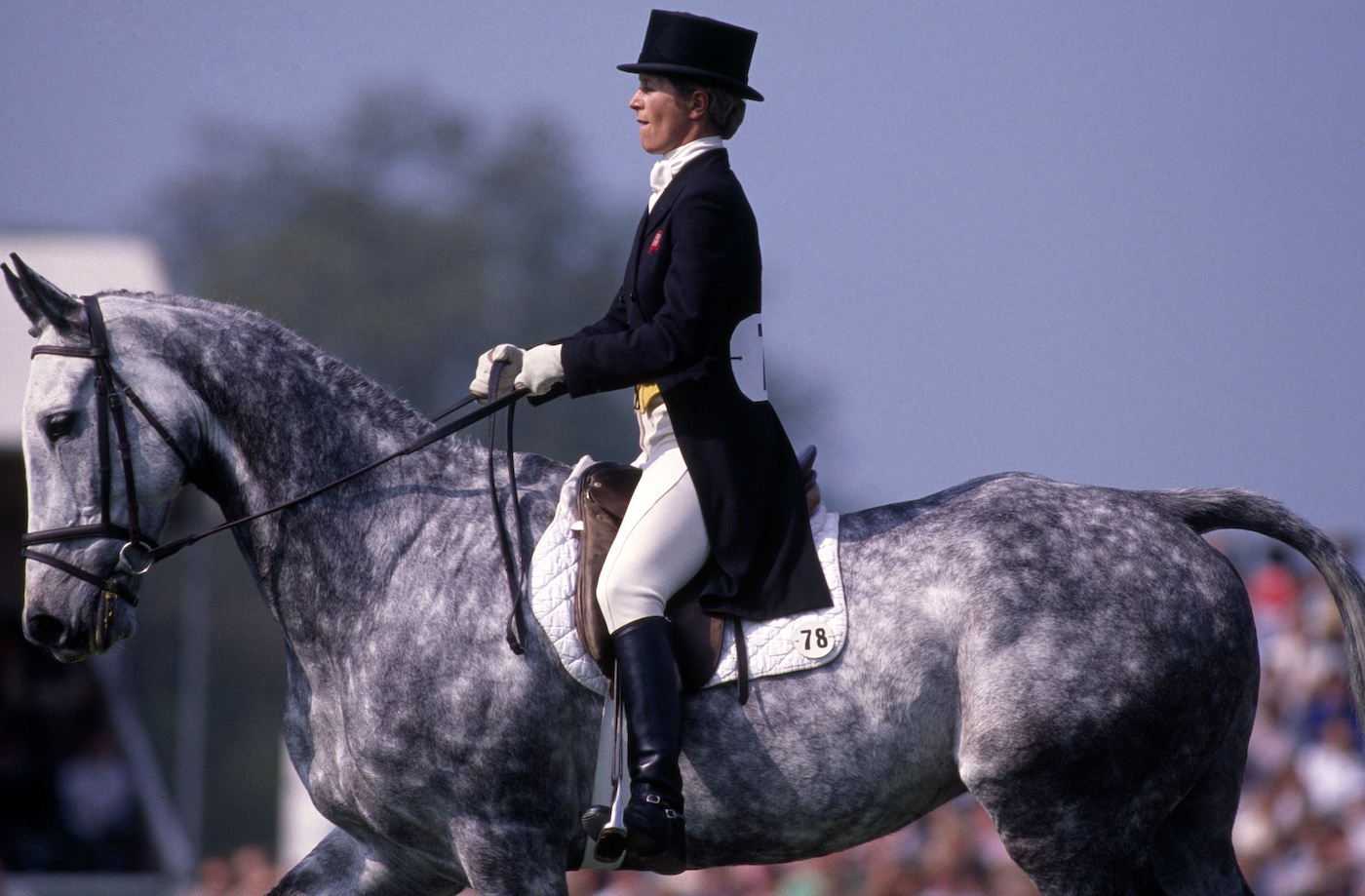 Ginny Elliot doing dressage on Murphy Himself
