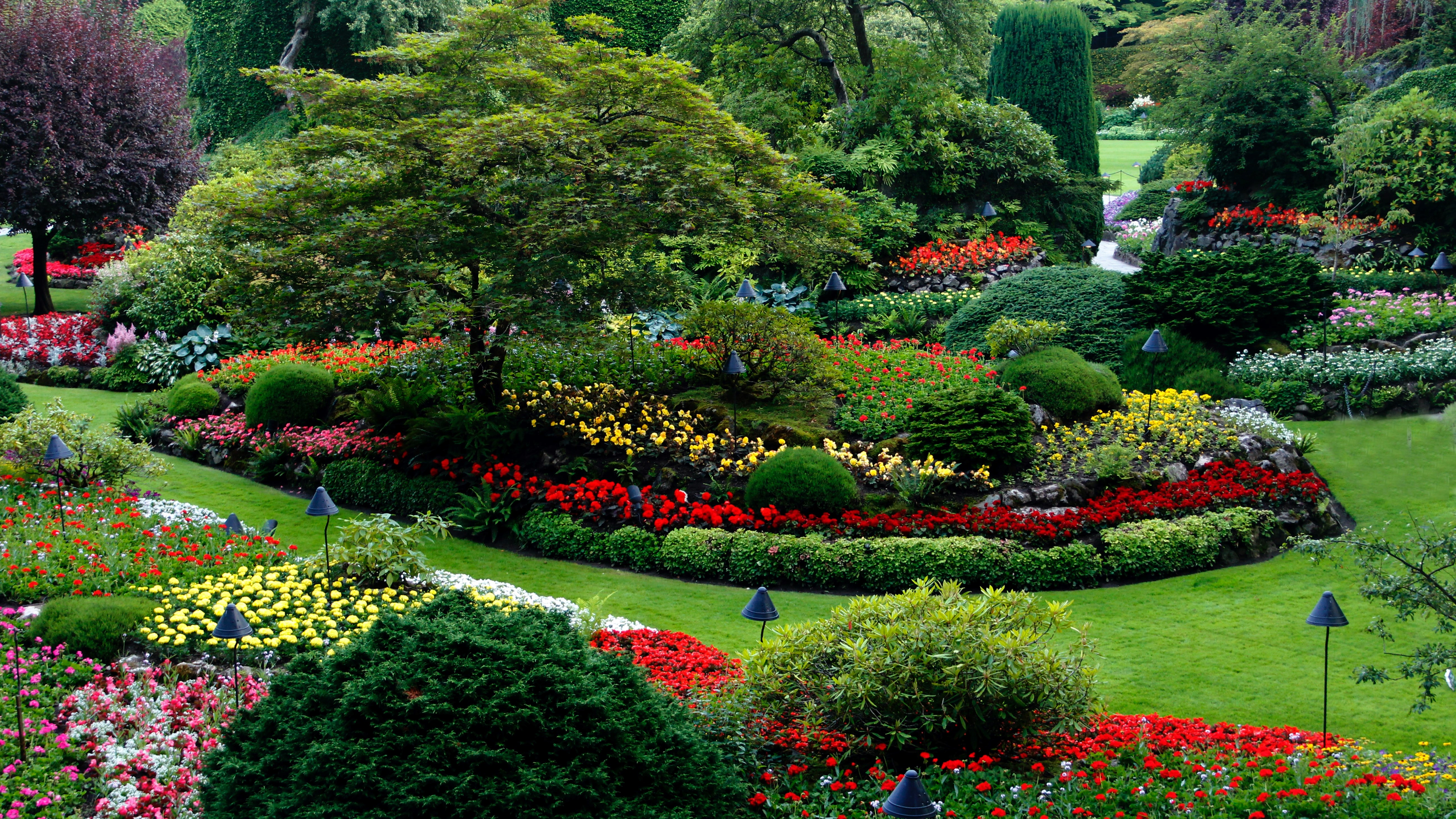 Best landscape stakes