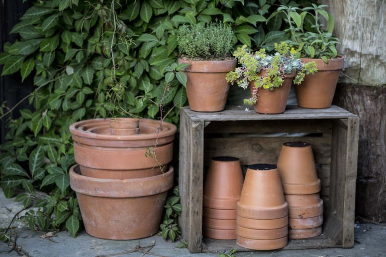 Clay Pot Sealer — How and When to Use This Container Garden Hack ...