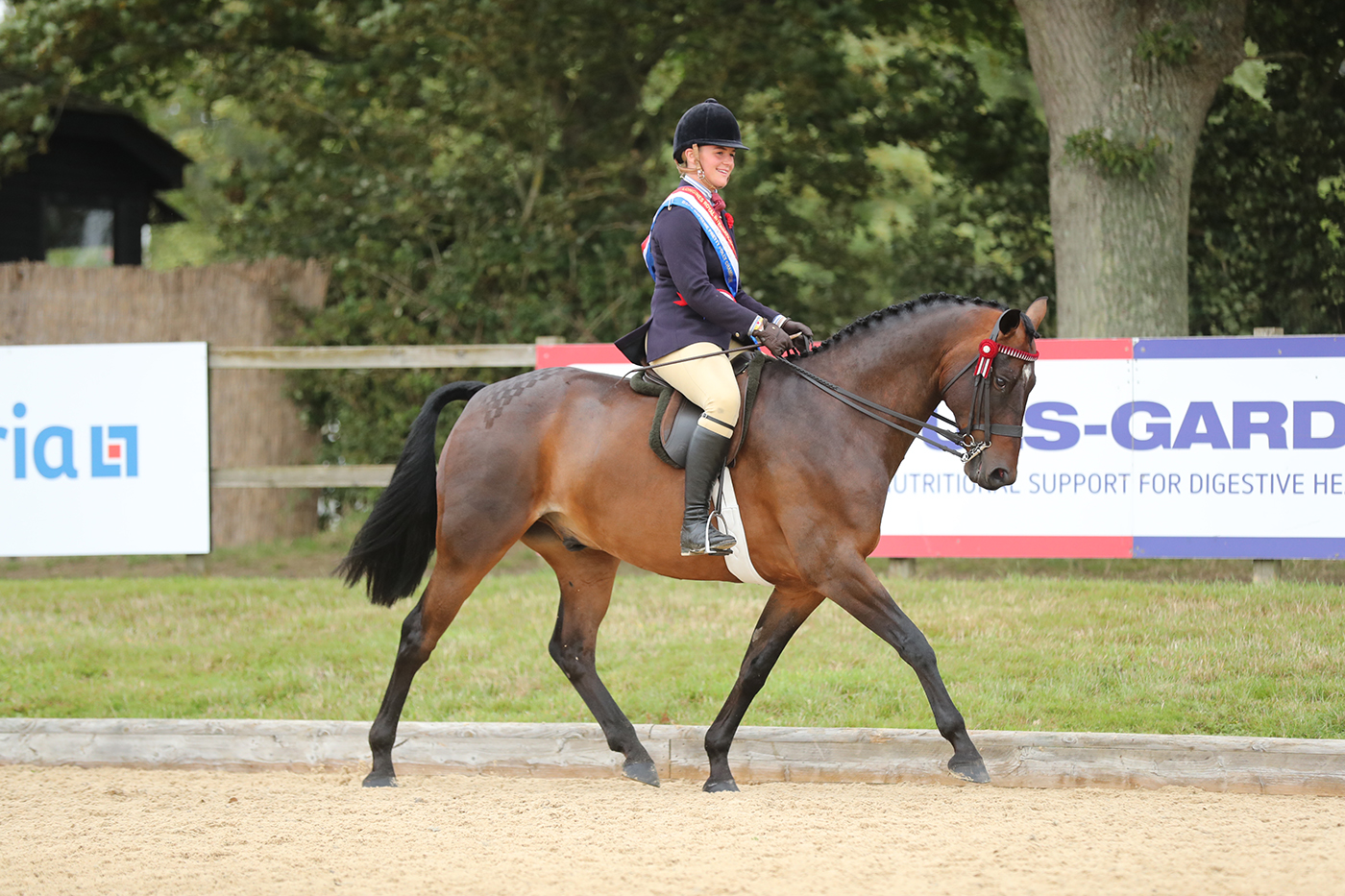 Dolphins Lawyer was among the 2023 Royal International Horse Show winners