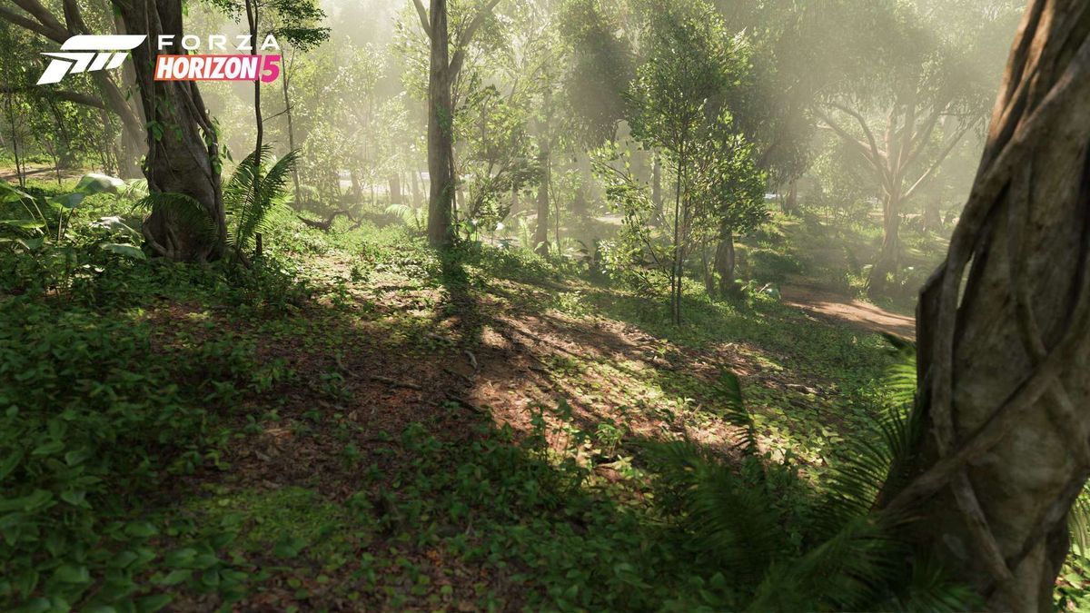 Official screenshot of the Forza Horizon 5 world.