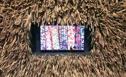 Detail of Seeds, a living heritage, installation at the exhibition ‘Farmer designers, an art of living’ at Madd-Bordeaux. © Jean-Baptiste Fastrez