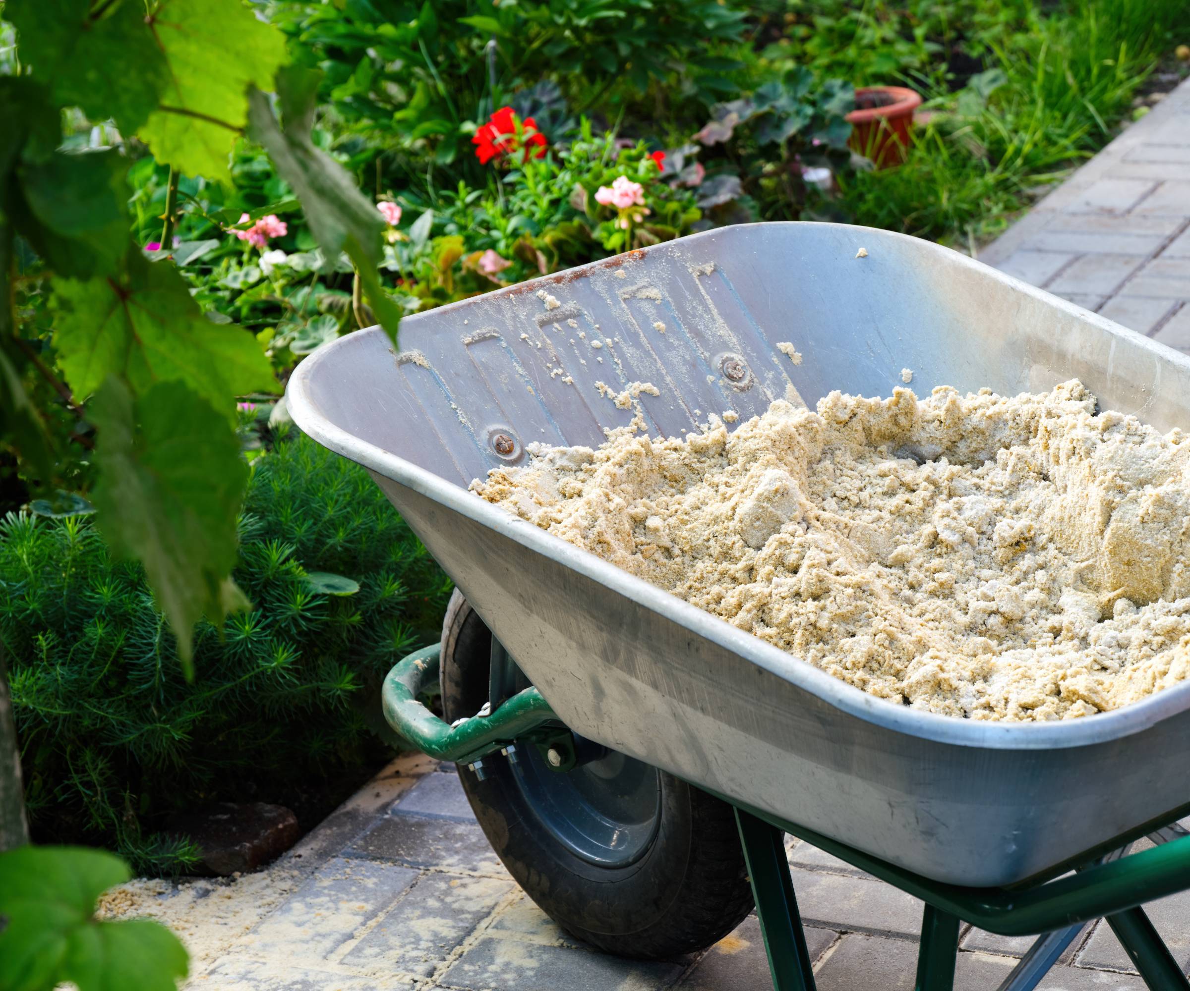 A wheelbarrow full of sand in a garden