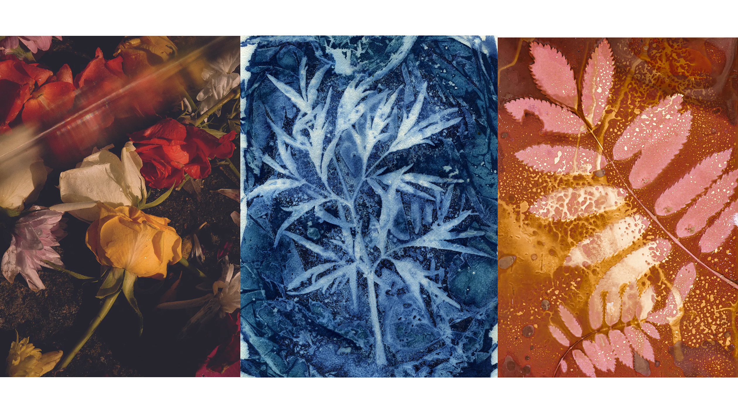 Triptych image: left panel shows assorted colorful flowers on dark ground, center panel features a blue leaf print, right panel has pink leaves on orange textured background