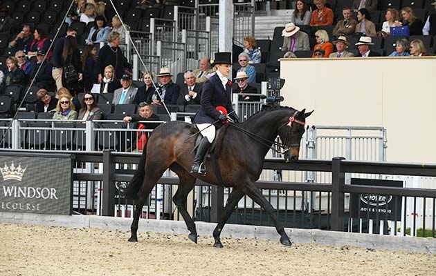RWHS 11 05 2018