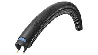 A stock image of the Schwalbe Durano Plus Addixtyre on a white background