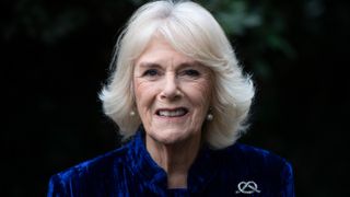 Camilla, Duchess of Cornwall decorates the Clarence House Christmas Tree virtually with children from Helen & Douglas House Hospice, on December 16, 2020 in London, England.