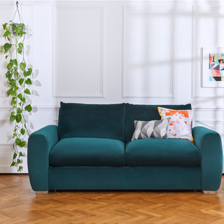 White walls with wooden flooring money plant and sofa with cushion