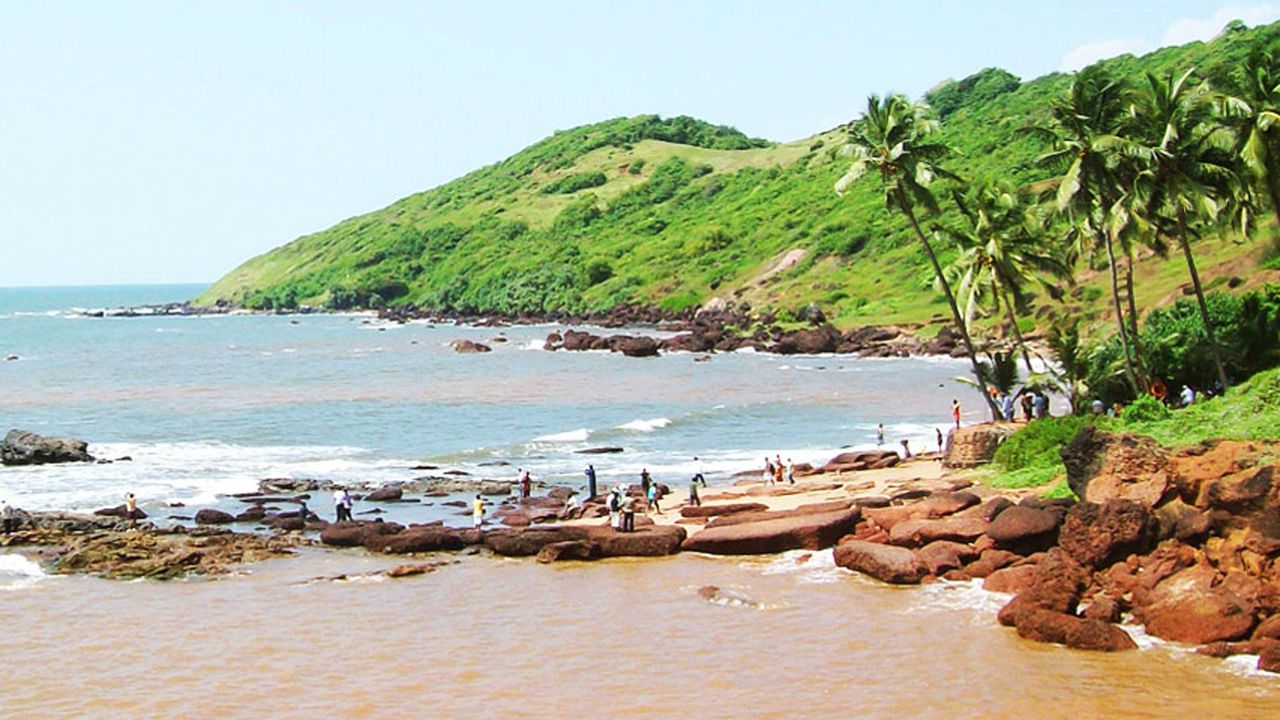 best-of-goa.jpg