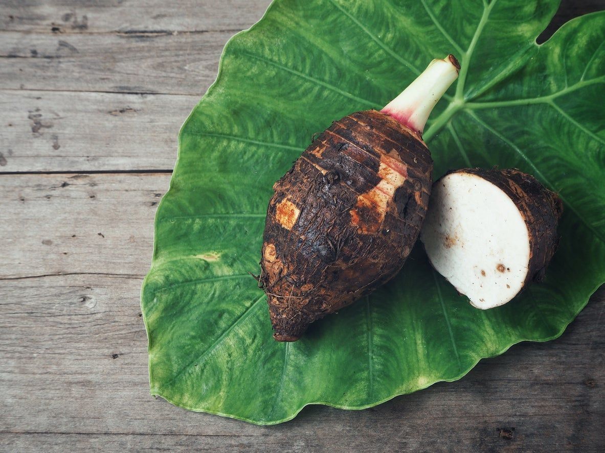 Taro Plant On A Large Green Leaf