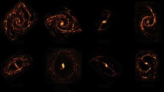 Here, a few of the stellar nurseries mapped in the ALMA survey.