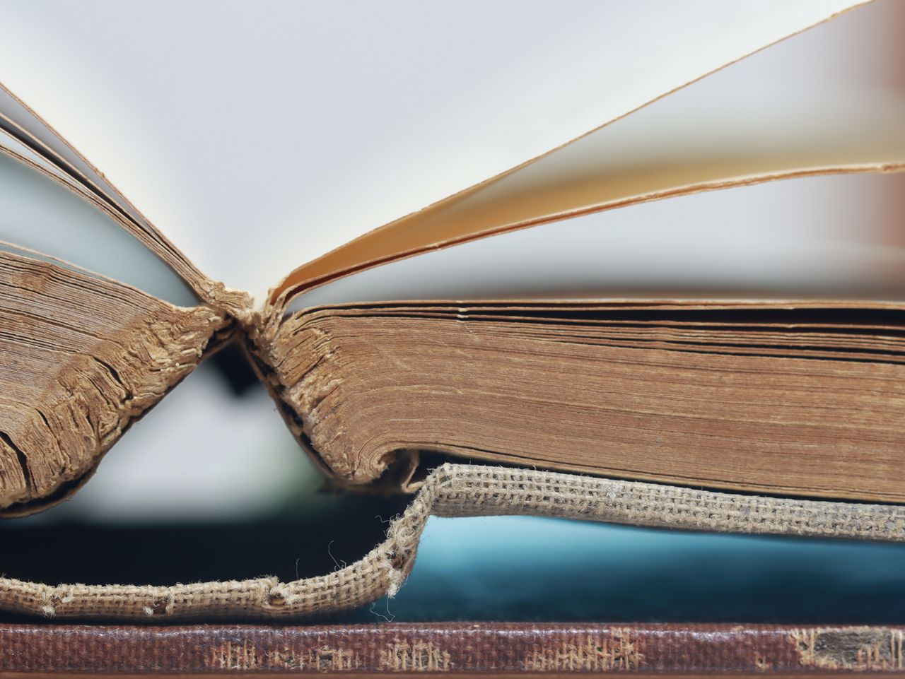 Secret tracking device placed in rare book ends up in Amazon processing facility — destroying books to train AI models is 'all' the Vegas warehouse does