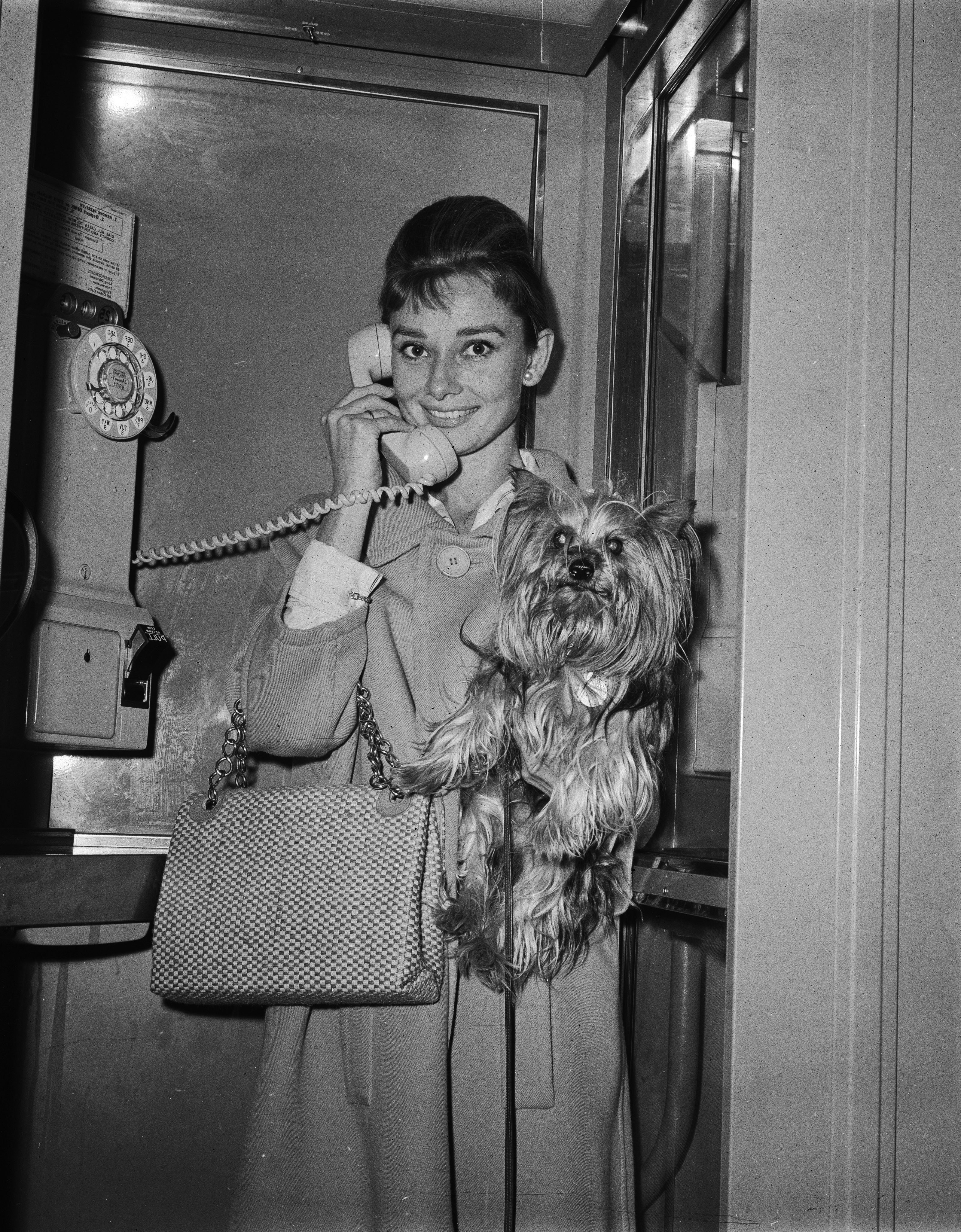 Audrey Hepburn and dog