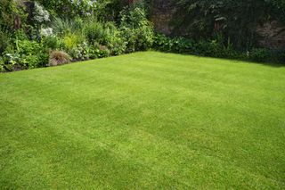lawn mowing tips and tricks