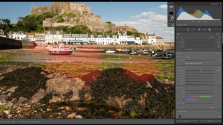 Low-tide landscapes