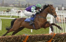sam jones retires from racing to take up hunting