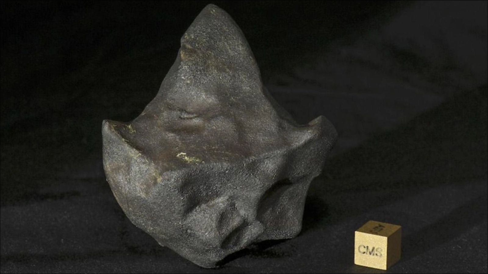 How a 'mudball' meteorite survived space to land in the jungles of