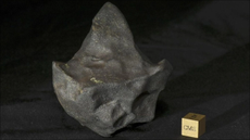 An irregularly shaped chunk of mineral on a black fabric.